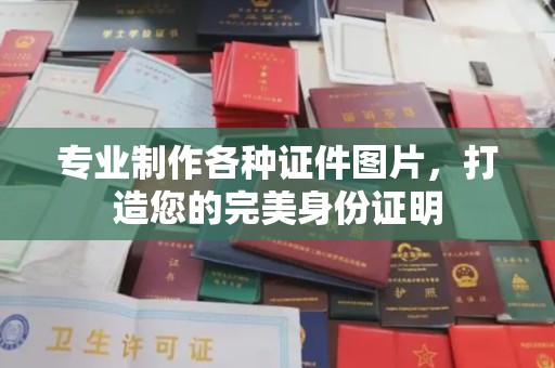 上海专业制作各种证件图片，打造您的完美身份证明